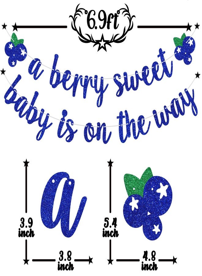 PYBHILK Blue Glitter A Berry Sweet Baby is on the Way Banner, Blueberry Oh Baby Party Background, Sweet Fruit Blueberry Baby Shower Gender Reveal Party Decorations Supplies - Image 2
